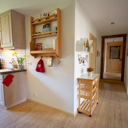 Daire Le Du Moulin Ribeauvillé